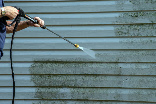 Professional Pressure Washing Services in Kenly, NC